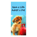 Pet Adoption Rack Cards rack cards