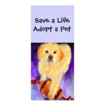 Pet Adoption Rack Cards rack cards