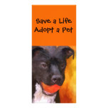 Pet Adoption Rack Cards rack cards