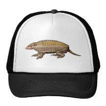 Pet Armadillo Hats