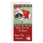Pet Christmas Photo Card photo cards