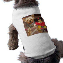 pet clothing