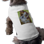 Pet Clothing, Bulldog Puppy pet clothing