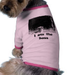 Pet clothing - I am the boss