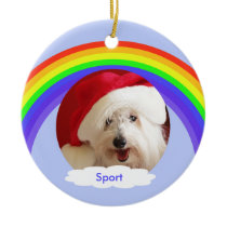 Pet Dog Memorial Christmas Ornament - Rainbow ornaments