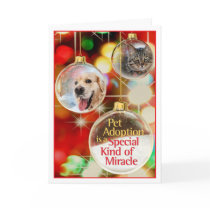 Pet Holiday Card with Ornaments