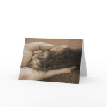 Pet loss cards