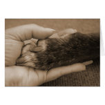 Pet Loss - Touch of an angel Cards