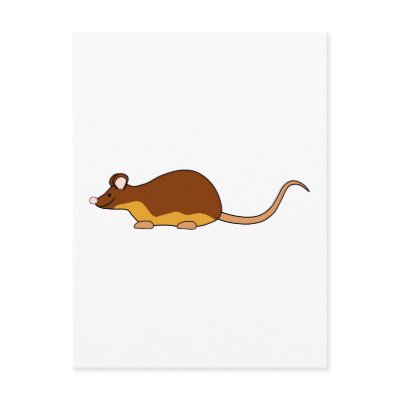 Brown Pet Mouse