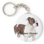 Pet, not threat keychain
