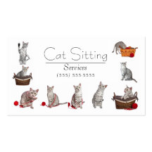 Pet or Cat Sitting Business Card