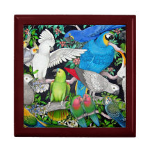 Pet Parrots of the World Gift Box