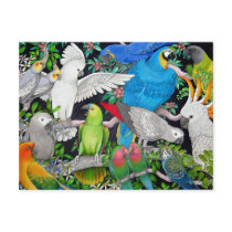 Pet Parrots of the World Postcard