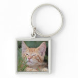 Pet Photo Key chain keychains