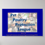 Pet Poultry Protection League posters