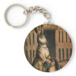 Pet Rabbits and Baby Bunnies Eating keychains