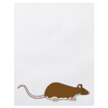 Pet Rat. Brown. Berkshire, White Belly. Custom flyers