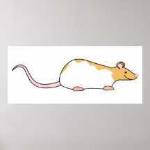 Pet Rat. Cinnamon and White, Hooded Variegated. Print