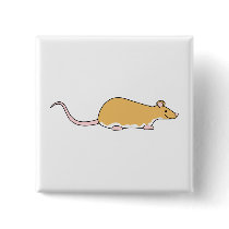 Pet Rat. Cinnamon Berkshire, White Belly. Buttons