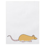 Pet Rat. Cinnamon. Berkshire, White Belly. Custom flyers