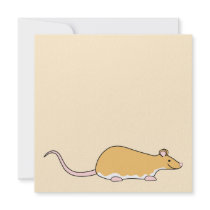 Pet Rat. Cinnamon Berkshire, White Belly. Personalised Announcements