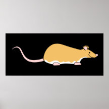 Pet Rat. Cinnamon Berkshire, White Belly. Print