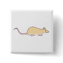 Pet Rat. Fawn Berkshire, White Belly. Buttons