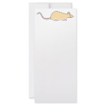 Pet Rat. Fawn. Berkshire, White Belly. Custom rack cards