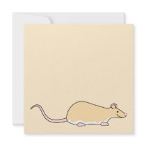 Pet Rat. Fawn Berkshire, White Belly. Personalized Announcements