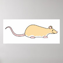Pet Rat. Fawn Berkshire, White Belly. Print