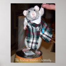 Pet Rat Ruby Poster - Kilt