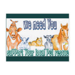 Pet Rescue Postcards