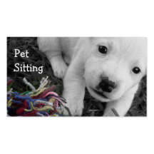 Pet Sitter Business Card