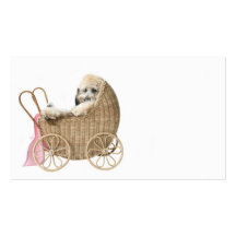 Pet sitter business cards