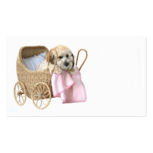 Pet sitter business cards