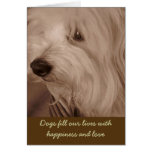 Pet Sympathy Card--Sepia White Dog
