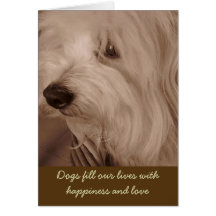 Pet Sympathy Card--Sepia White Dog