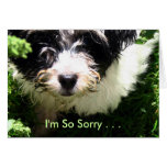 Pet Sympathy - Havanese Puppy. Card