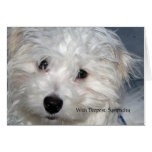 Pet Sympathy -  loss of a Dog Greeting Card