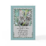 Pet Sympathy Loss of Cat cards