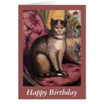 Pet Tabby Cat Birthday Card