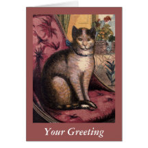 Pet Tabby Cat with Collar Blue Ribbon Card