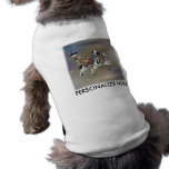 Pet Tees - Carousel Cats pet clothing