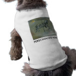 Pet Tees - Carousel Zebra pet clothing