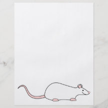 Pet White Rat Full Color Flyer