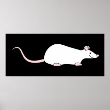 Pet White Rat Print