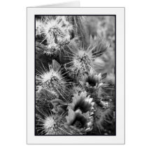 Petal Opposites Greeting Card