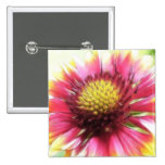 Petal Power - Gaillardia Pins
