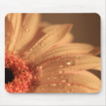 Petal Waterdrops Mousepad