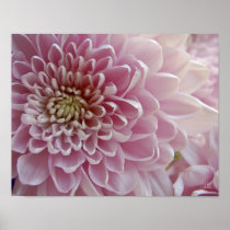 Petals #2 [Art Print]